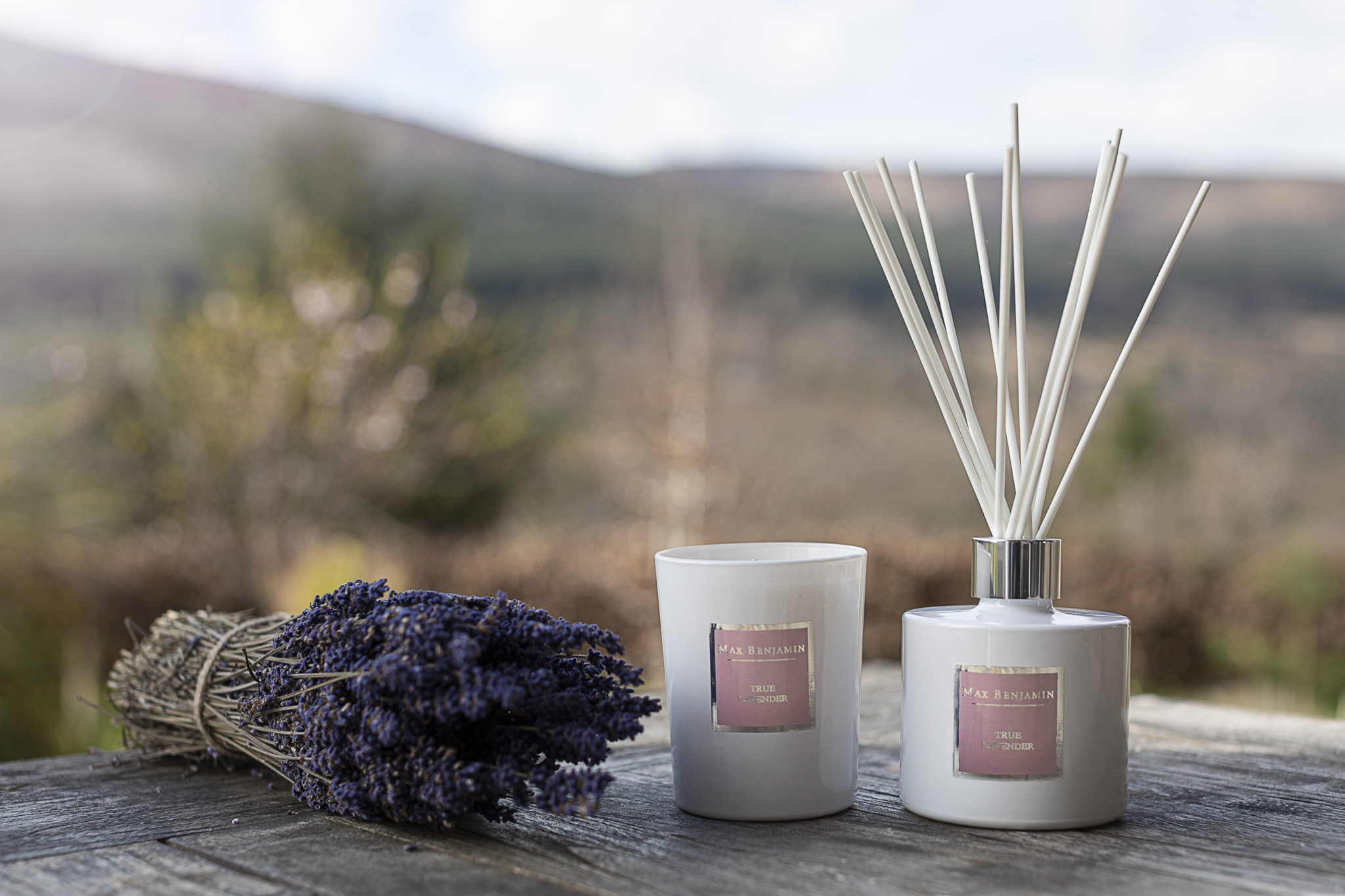 Max Benjamin Diffusers Village Gift Company